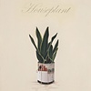 Houseplant (Informal Domesticity)