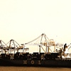 MOLO I