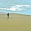 Ocean Beach