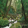 cataract bridge