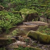 creek near prague