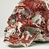 decay (skull)