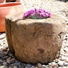 Round Rice Huller