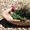 Small Trough Rice-Huller
