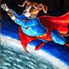 Superman Beagle
