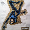 Nightwing Upside Down