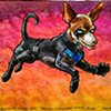 Nightwing Hound (Chihuahua)