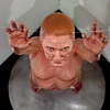 Projection 
(top view)