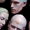 Portrait Heads from 
Dark Nature