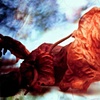 My Fine Art Photography