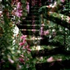 Secret Garden