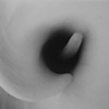 Calla Lily