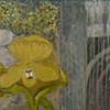 Judith Miller