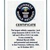 Guinness World Record Certificate