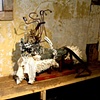 Installation at the "Ode Hotel" for the Wassaic Project