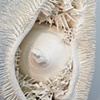 Detail of Untitled #1