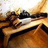 Installation at "Ode Hotel" at the Wassaic Project