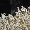 Detail of Untitled #2