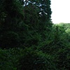 Landscapes
