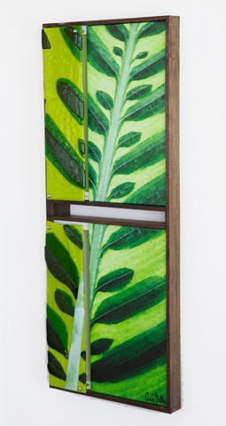 Verdant