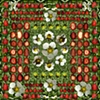 Strawberry Womb World Mandala