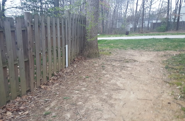 Child Citizen: Springfield, Virginia