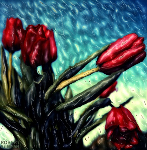Red Tulips