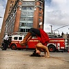 Tripod Drop back Wheel ~ NYC
