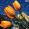 Sun Tulips