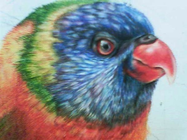 courtney senger tattoo and portrait artist available by courtney senger tattoo and portrait artist available by