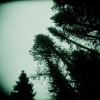 Hood trees