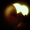 Suns