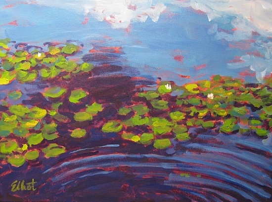 Lilly Pads
