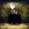 Dark and Light Radiate the Night