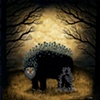 The Unseen Gather in Secret