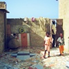 visitors