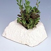 styrofoam 