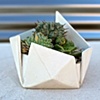 folded series