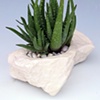rock planters