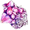Faceted Facination