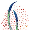 Asparagus