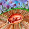Fox in Hibernation