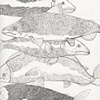 Fish Pond