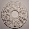 Iris Topography