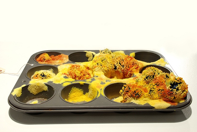 Jasmyne Graybill
Crested Buttercream Polyps
Muffin pan, polymer clay
12� x 8� x 2�
