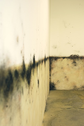 Jasmyne Graybill
Floodline
Acrylic paint, charcoal, pastel
9� x 7� Installation 