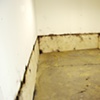 Jasmyne Graybill
Floodline
Acrylic paint, charcoal, pastel
9 x 7 Installation 

