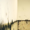 Jasmyne Graybill
Floodline
Acrylic paint, charcoal, pastel
9 x 7 Installation 