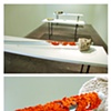 Jasmyne Graybill
Stipplefringe Pole Lichen
Galvanize pole, concrete, polymer clay
128 x 8 x 13
