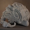 Shell (view 1)